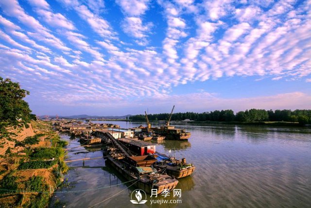 河南的國(guó)家級(jí)珍稀瀕危保護(hù)植物竟多達(dá)63種(圖2)