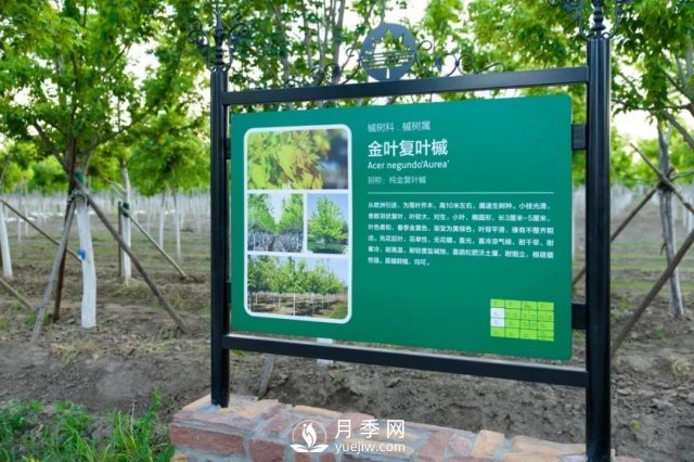 28項(xiàng)行業(yè)標(biāo)準(zhǔn)，198項(xiàng)地方標(biāo)準(zhǔn)，助推北京園林綠化高質(zhì)量發(fā)展(圖4)