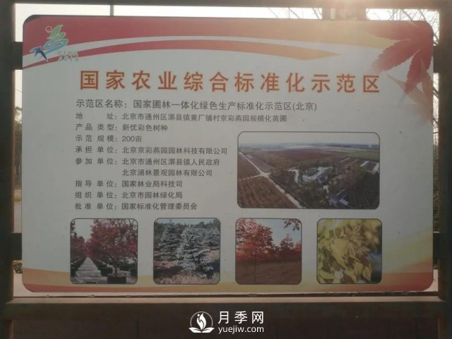 28項(xiàng)行業(yè)標(biāo)準(zhǔn)，198項(xiàng)地方標(biāo)準(zhǔn)，助推北京園林綠化高質(zhì)量發(fā)展(圖2)