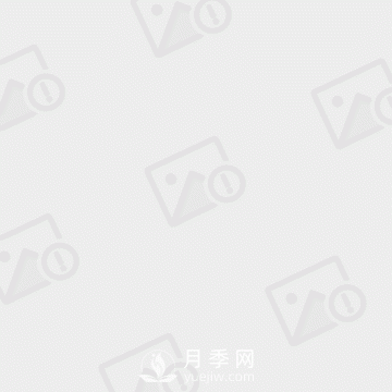 大葉女貞和小葉女貞到底有哪些區(qū)別呢？就葉子不同？(圖1)
