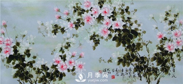 “月季花濕法畫法**人”王躍進(jìn)廈門辦專題月季展(圖1)