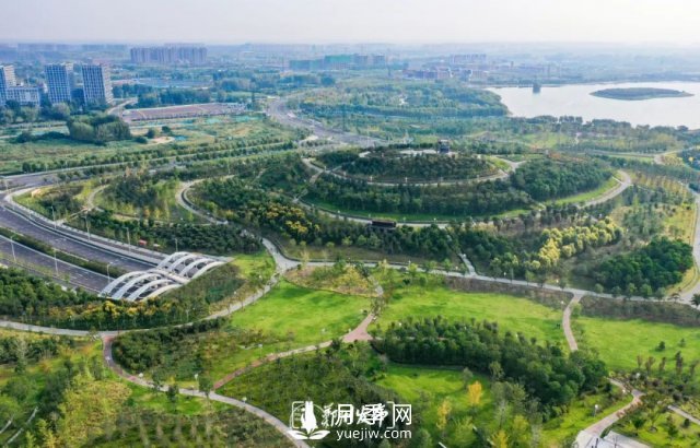 3.13萬畝！2021年鄭州綠化目之所及皆是綠(圖3)