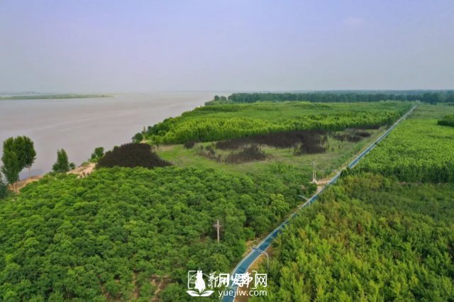 3.13萬畝！2021年鄭州綠化目之所及皆是綠(圖4)