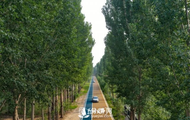 3.13萬畝！2021年鄭州綠化目之所及皆是綠(圖2)