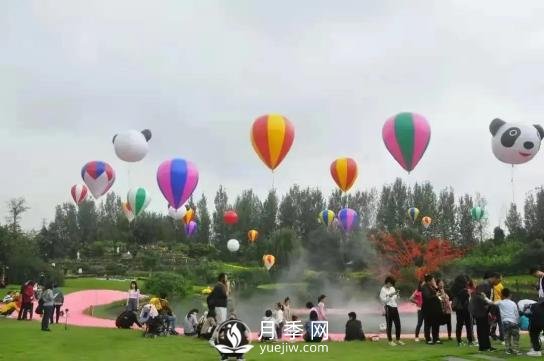 四川南充月季花海迎來(lái)1000㎡粉色沙灘，4月3日浪漫迎客(圖8)