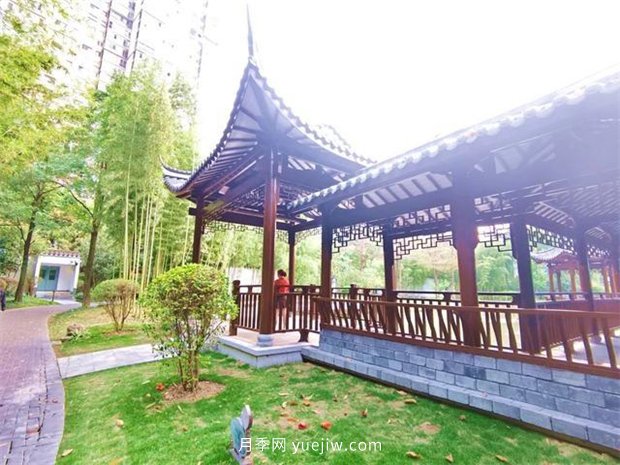 福州茶亭公園月季花開，芬芳美爆！(圖10)