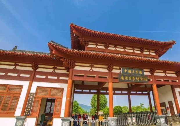 中國(guó)月季園千畝月季花開，南陽(yáng)月季人間仙境打卡圣地(圖2)