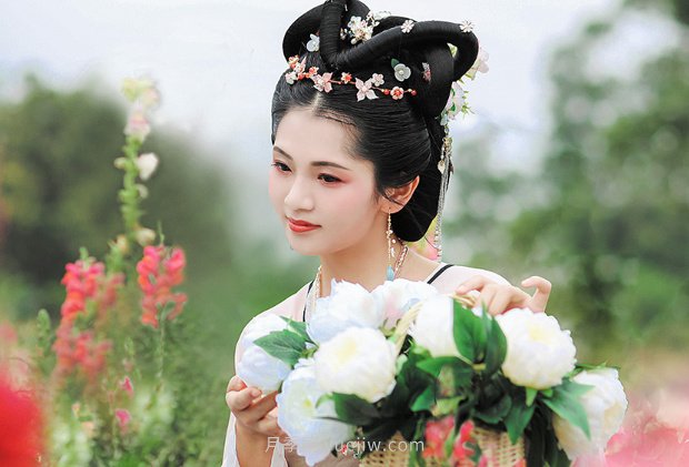 中國(guó)月季園千畝月季花開，南陽(yáng)月季人間仙境打卡圣地(圖5)
