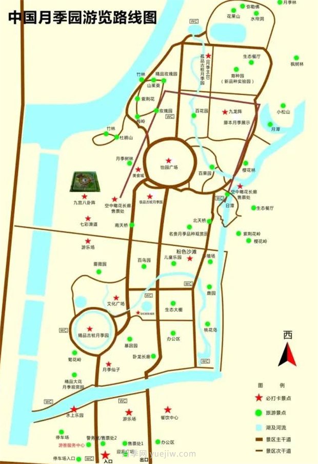 中國(guó)月季園千畝月季花開，南陽(yáng)月季人間仙境打卡圣地(圖3)