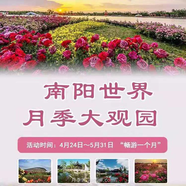 第十二屆南陽(yáng)月季花會(huì)4月29日開幕，活動(dòng)豐富多彩(圖1)