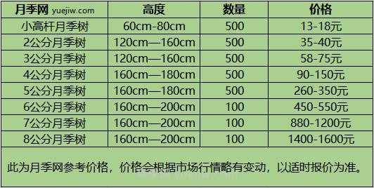 1-10公分月季樹價(jià)格是多少？樹狀月季5月報(bào)價(jià)單！(圖1)