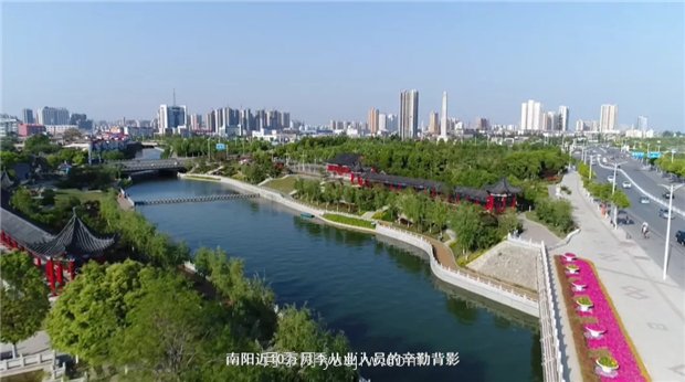 河南南陽：月季之鄉(xiāng)新發(fā)展 月季花開產業(yè)紅(圖4)