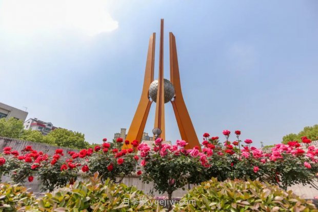 四月盛放的月季時間，湖北宜昌給你的專屬浪漫花園(圖3)