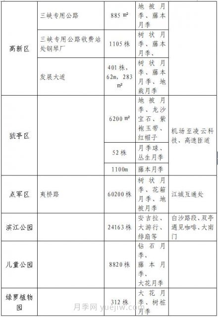 四月盛放的月季時間，湖北宜昌給你的專屬浪漫花園(圖10)