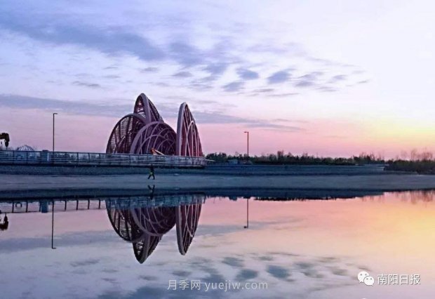 第十二屆南陽(yáng)月季花會(huì)4月29日開幕，花事活動(dòng)提前報(bào)(圖2)