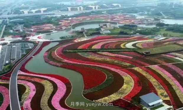 第十二屆南陽(yáng)月季花會(huì)4月29日開幕，花事活動(dòng)提前報(bào)(圖1)