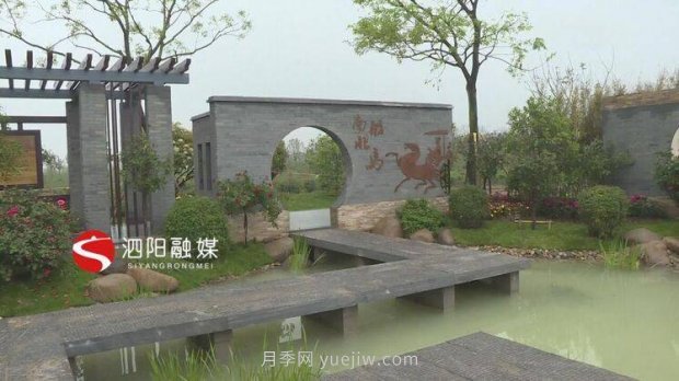第十一屆中國月季展覽會：走進(jìn)淮安展園(圖5)