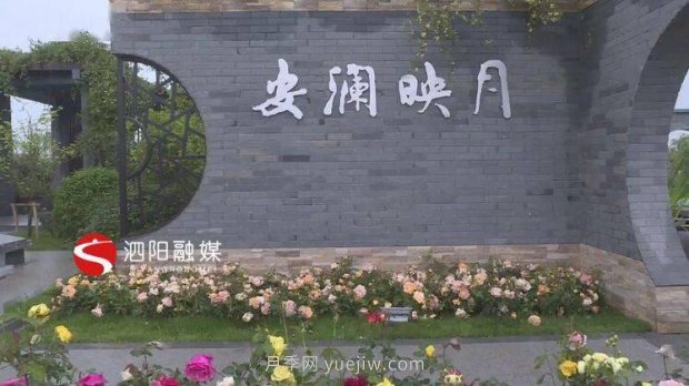 第十一屆中國月季展覽會：走進(jìn)淮安展園(圖2)
