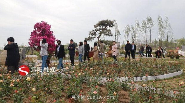 第十一屆中國月季展覽會：走進(jìn)青州展園(圖3)