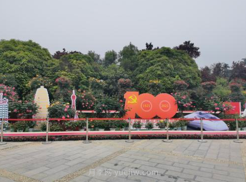滿城飄香賞月季，月季花開驚艷了四月的鄭州(圖5)