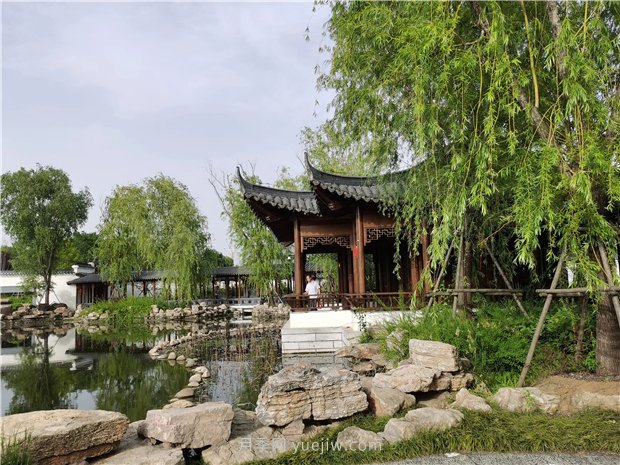 南陽世界月季大觀園規(guī)模真大，快來過把月季花癮(圖3)
