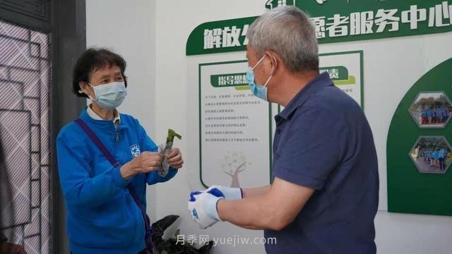 送你一枝月季，許你一束繁花，武漢百余市民領(lǐng)到月季扦插枝條(圖1)