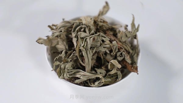 南陽艾草產(chǎn)業(yè)蓬勃發(fā)展的背后原因是為什么？(圖1)