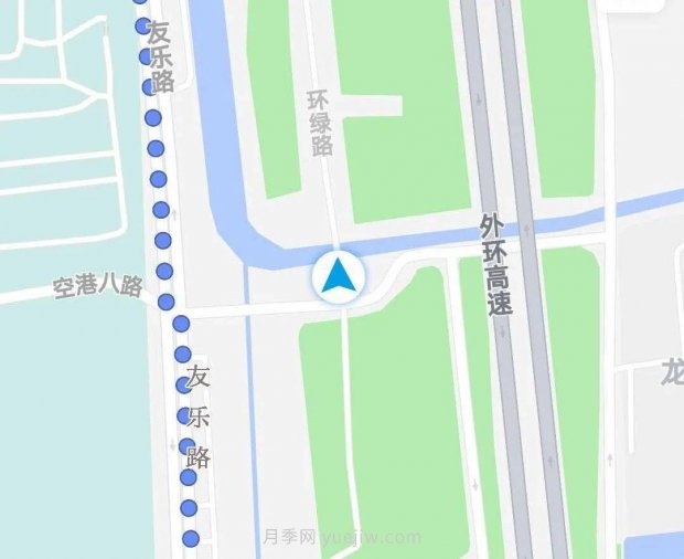 月季成墻、繡球綻放……上海長寧外環(huán)林帶生態(tài)綠道花開正艷(圖9)