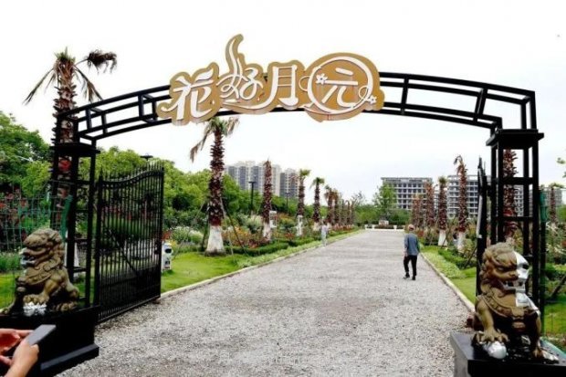 上海閔行區(qū)花好月園公園，萬株月季怒放快來品(圖1)