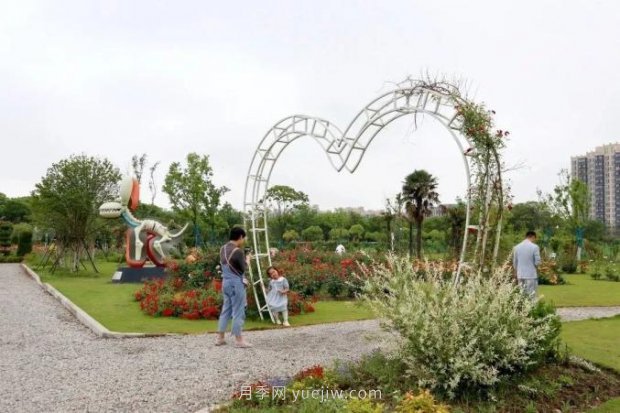 上海閔行區(qū)花好月園公園，萬株月季怒放快來品(圖7)