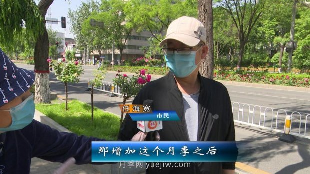 太原三百萬株月季玫瑰盛開，許你一座浪漫之都(圖3)