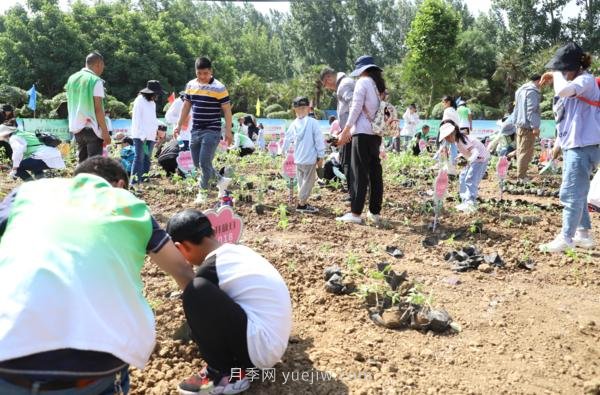 漯河城管園林科研所，邀請400余位市民花田體驗栽花(圖3)