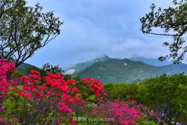 桐柏縣，淮河之源 坐標(biāo)桐柏山(圖1)