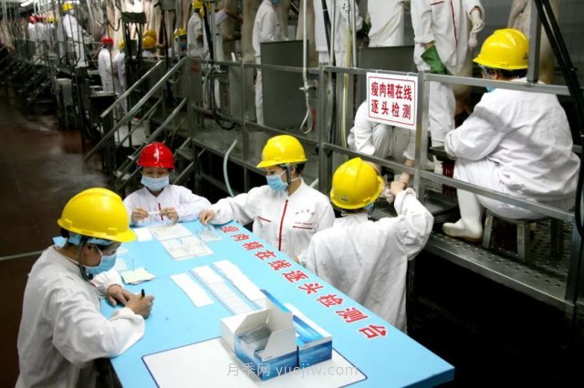 漯河打造農(nóng)業(yè)全產(chǎn)業(yè)鏈，實現(xiàn)航母級產(chǎn)業(yè)(圖4)