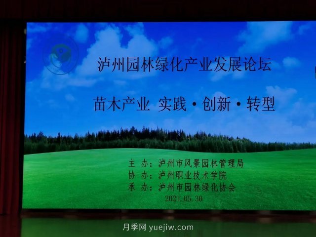 瀘州園林綠化產(chǎn)業(yè)發(fā)展論壇召開，大伽把脈苗木行業(yè)(圖2)
