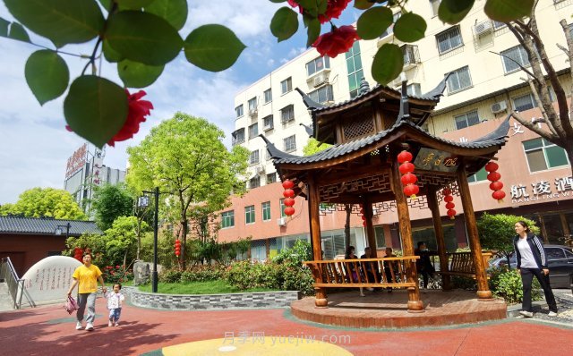 南陽臥龍崗街道，廢墟變游園，月季景優(yōu)美(圖2)