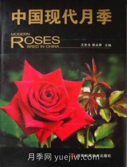 月季圖書：王世光，薛永卿《中國現(xiàn)代月季》(圖2)