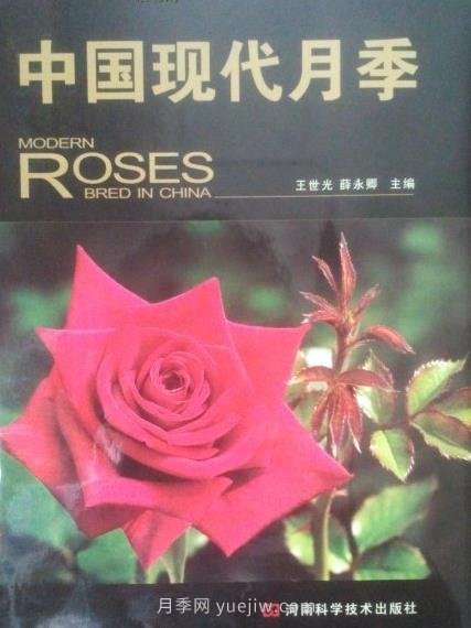 月季圖書：王世光，薛永卿《中國現(xiàn)代月季》(圖1)