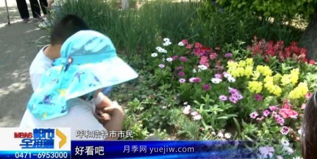 呼和浩特小黑河賞花勝地！20千米觀景帶3000多株月季花......(圖2)
