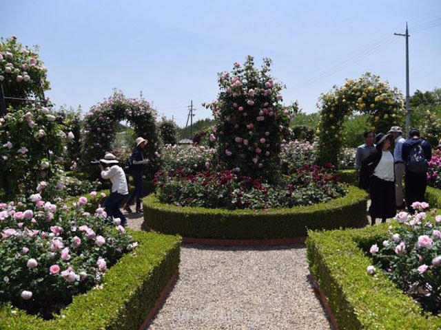 城市公園中使用綠雕應(yīng)該注意哪些問題？(圖1)