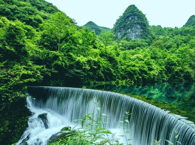 貴州特色林業(yè)產(chǎn)業(yè)基地達(dá)1078萬畝(圖1)