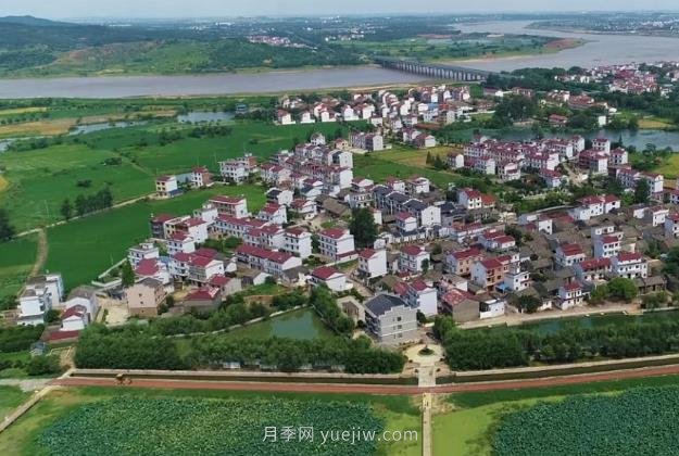 現(xiàn)代科技范，江西鄉(xiāng)村振興新圖(圖1)