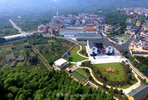 紹興漓渚鎮(zhèn)：一株花木如何成就了國家級田園綜合體？(圖1)