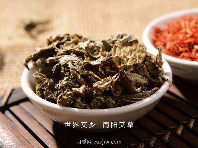 宛艾！南陽艾草產業(yè)志在出圈，怎借東風成就世界艾鄉(xiāng)？(圖2)