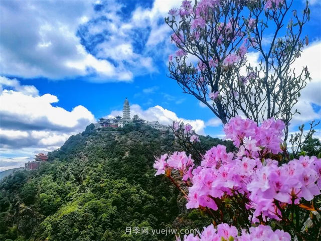 七月，邂逅大理雞足山極致風(fēng)光！(圖1)