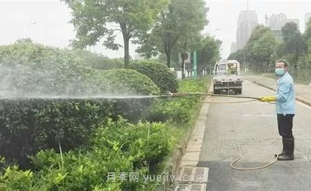 南陽(yáng)園林人須知夏季噴藥有“五忌”！(圖1)