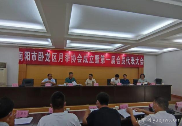 南陽市臥龍區(qū)月季協(xié)會(huì)成立，趙磊當(dāng)選會(huì)長(圖1)