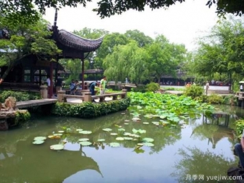 如何做好園林綠化工程決算？
