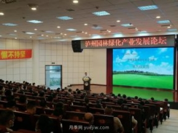 瀘州園林綠化產業(yè)發(fā)展論壇召開，大伽把脈苗木行業(yè)