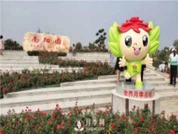 月季網(wǎng)告訴你南陽(yáng)月季有哪些不同的分類(lèi)？